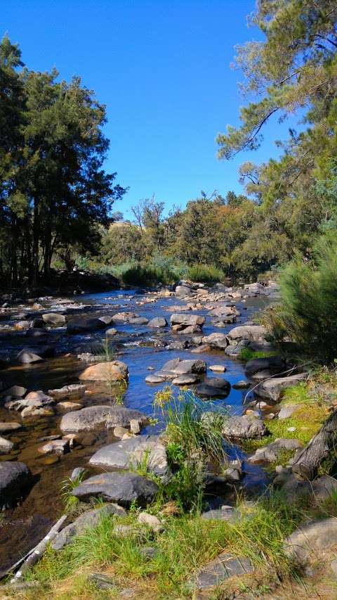 Photo: Billy Grace Reserve